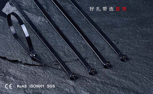 不鏽鋼嵌片尼龍紮帶（dài）（船用）